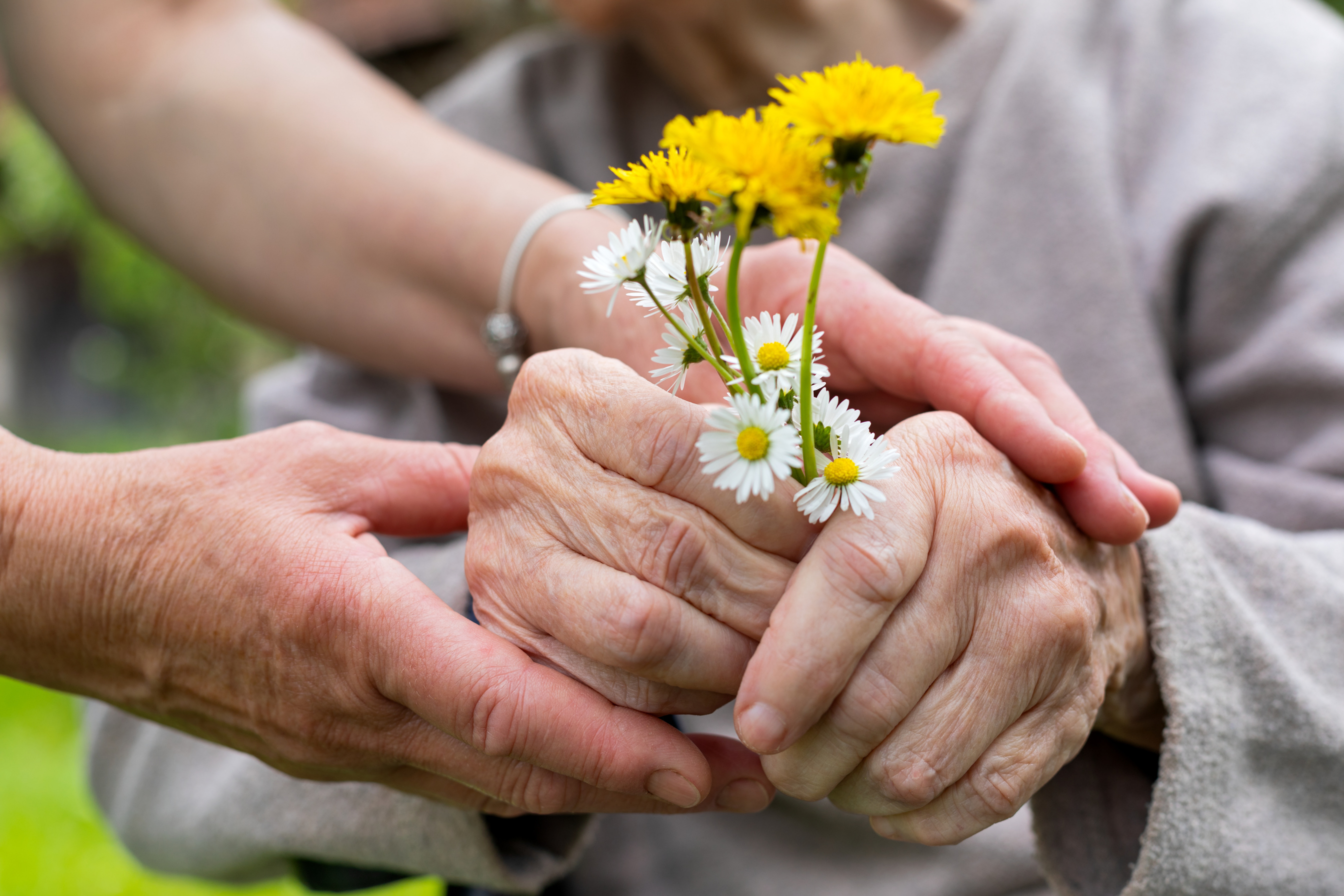 Elderly care - hands, bouquet